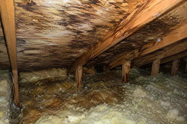 Water-stained roof decking and wet attic insulation