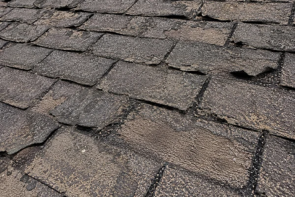 Widespread granule loss on an old roof that needs replacement