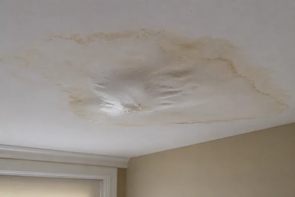Ceiling water stain from an active roof leak