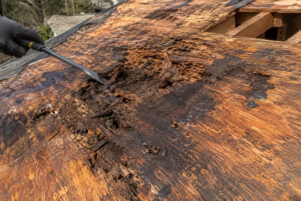 Rotted roof decking found after tear-off on an older Massachusetts home