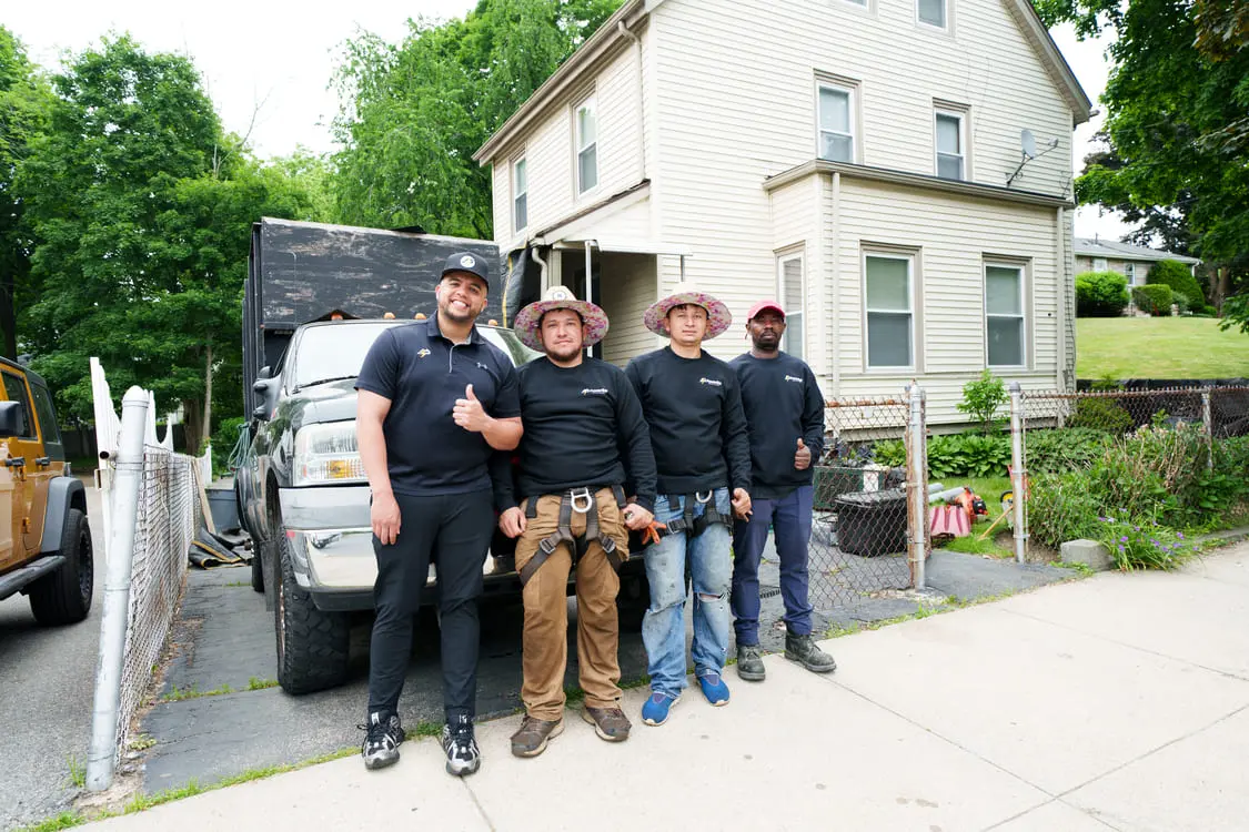 Completed shingle roof replacement by Powersol Roofing in Quincy MA