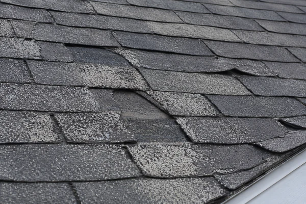 granule loss and lifted asphalt shingles on a Massachusetts roof