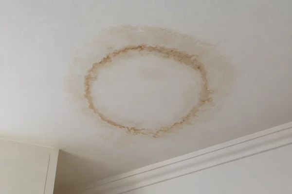 ceiling water stain from a roof leak