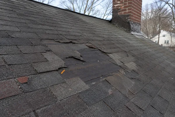 Wind-damaged shingles documented for an insurance claim in Worcester MA