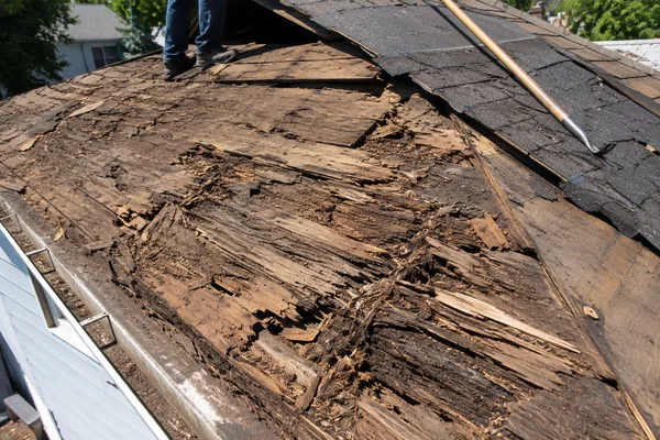 Rotted roof decking found under storm-damaged shingles during tear-off in Massachusetts