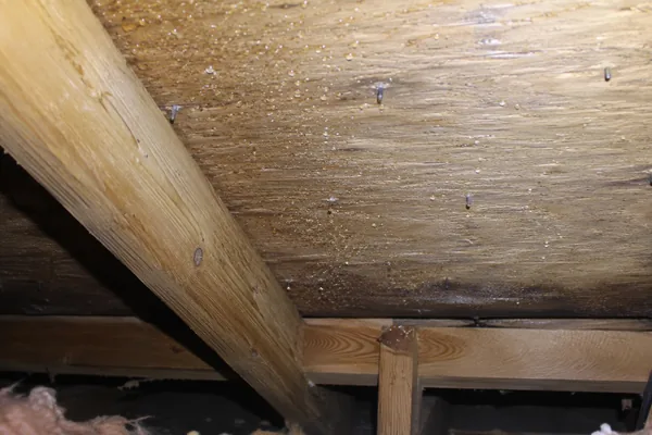 Attic condensation on roof decking, not a leak