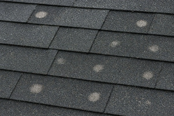 Hail damage and granule loss on asphalt shingles