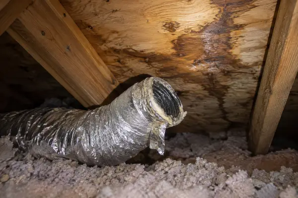 Bathroom exhaust duct venting into the attic instead of outside